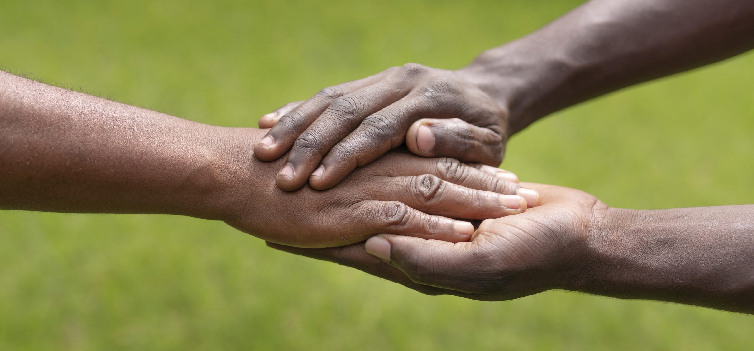 concept de communaute avec la nature se bouchent